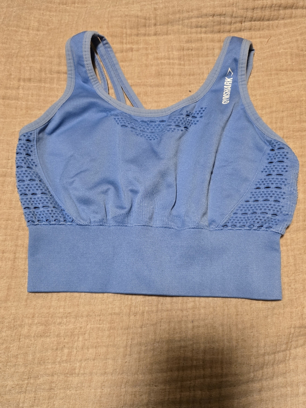Gymshark Seamless Light Blue Sports Bra